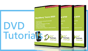 519 Business Development